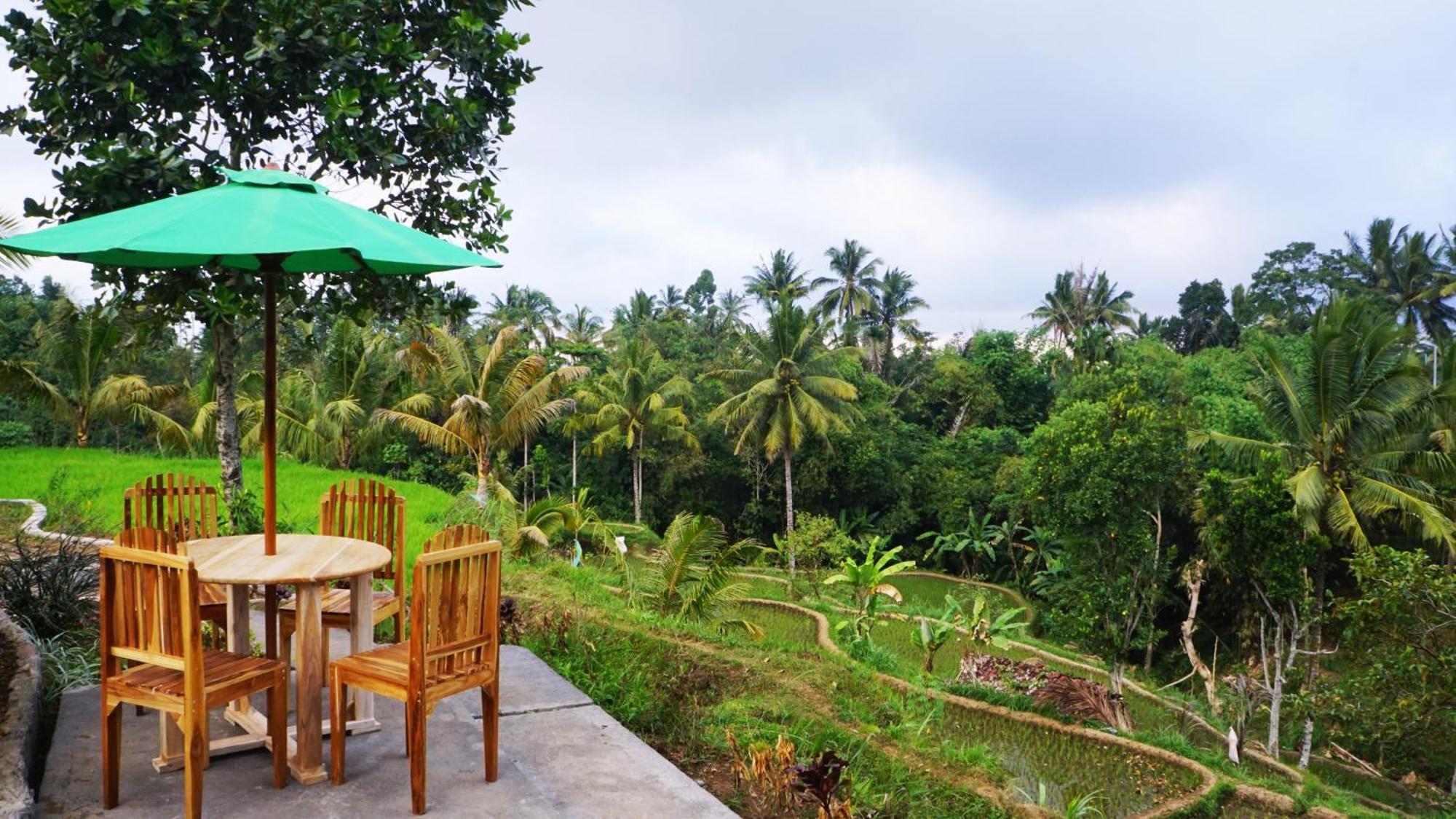 Vanilla Garden Tetebatu Bagian luar foto