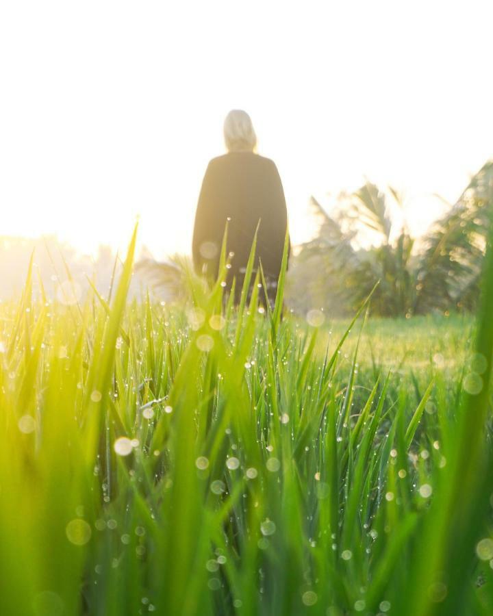 Vanilla Garden Tetebatu Bagian luar foto