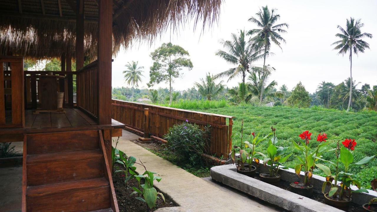 Vanilla Garden Tetebatu Bagian luar foto