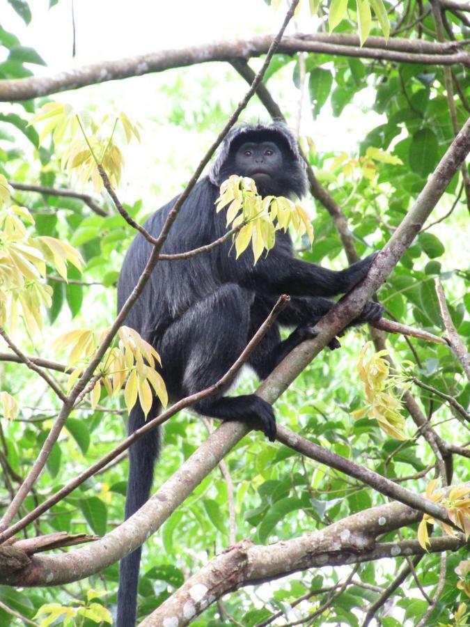 Vanilla Garden Tetebatu Bagian luar foto